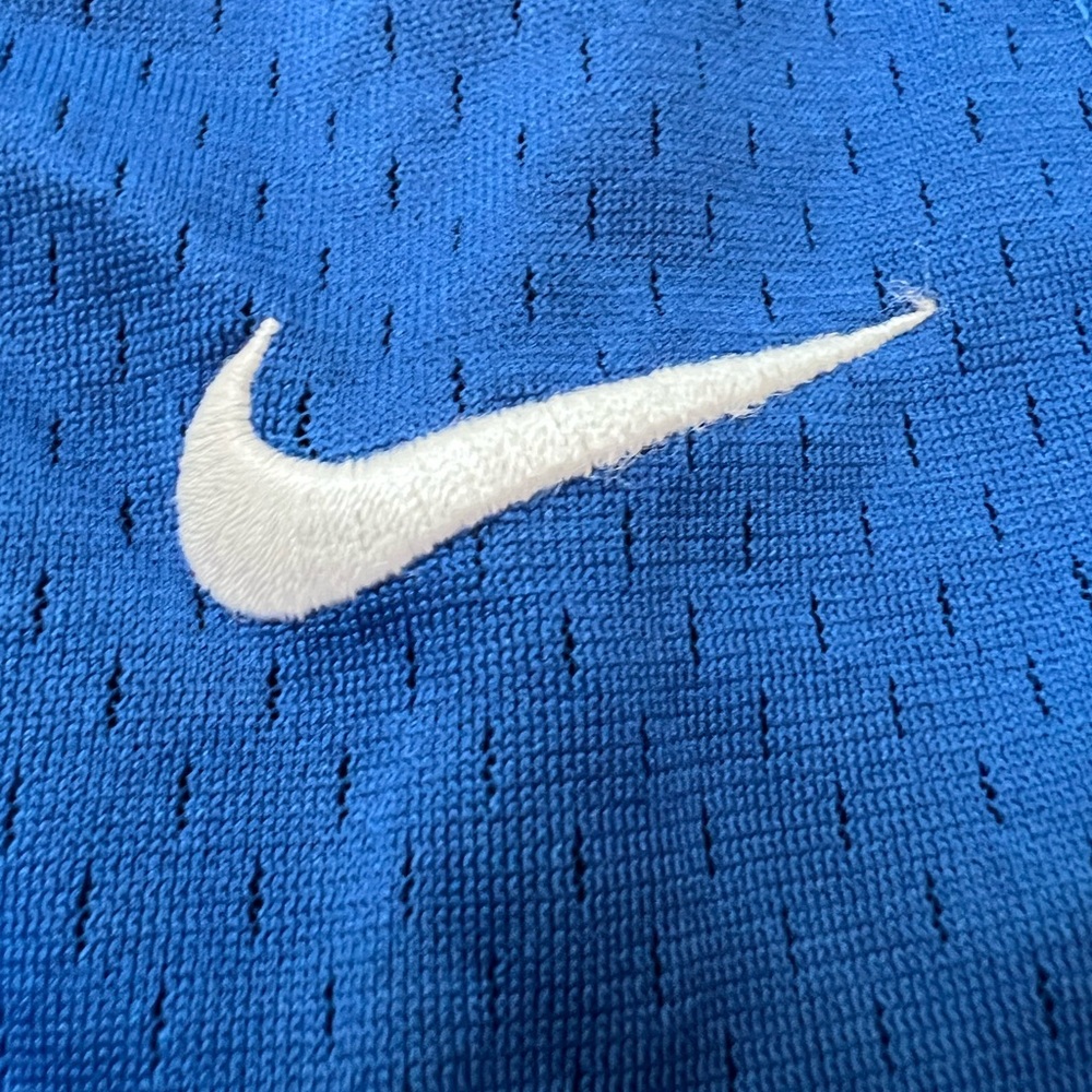 Gently worn Nike shorts; large with 10 inch inseam; near vintage looking tag